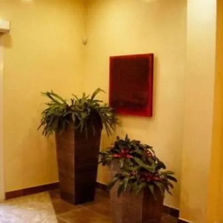 Отель Accademia 3*