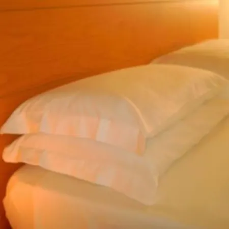 阿卡德米雅酒店 3* 里米尼