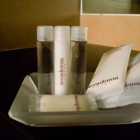 Accademia 3* Римини